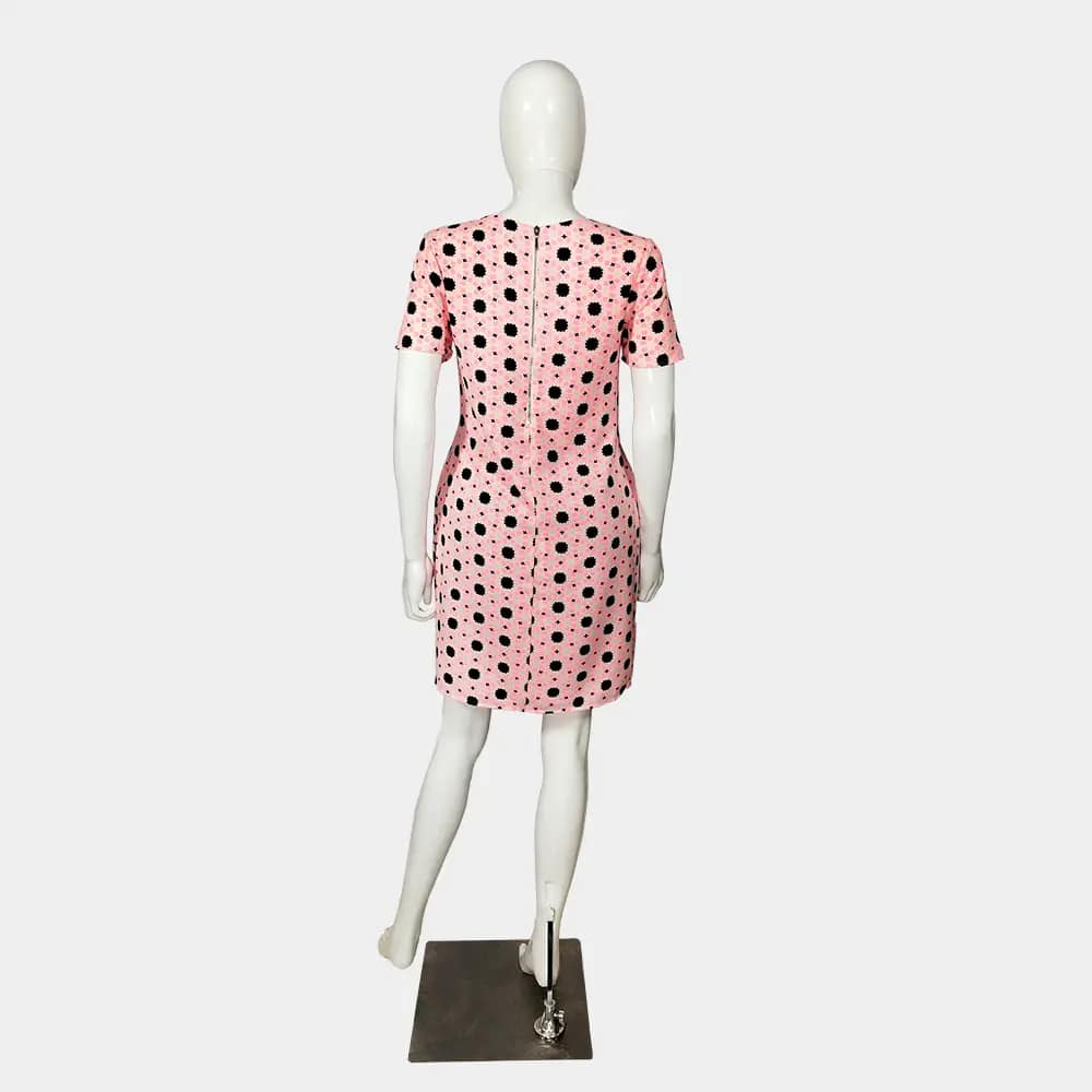 Chic Papaya Shift Dress 6 Papaya Shift Dress